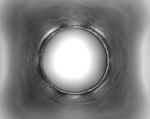 X0000084551309200703161639