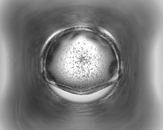 X0000084551310200703161639