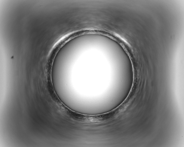 X0000084551311200703161639