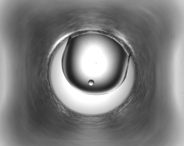 X0000084551312200703161639