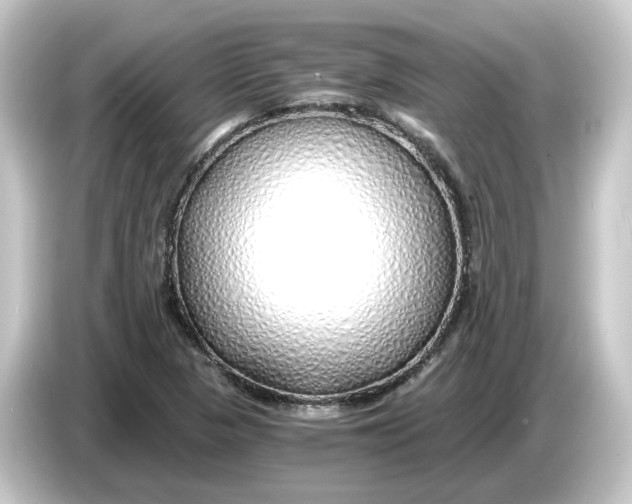 X0000084551313200703161639