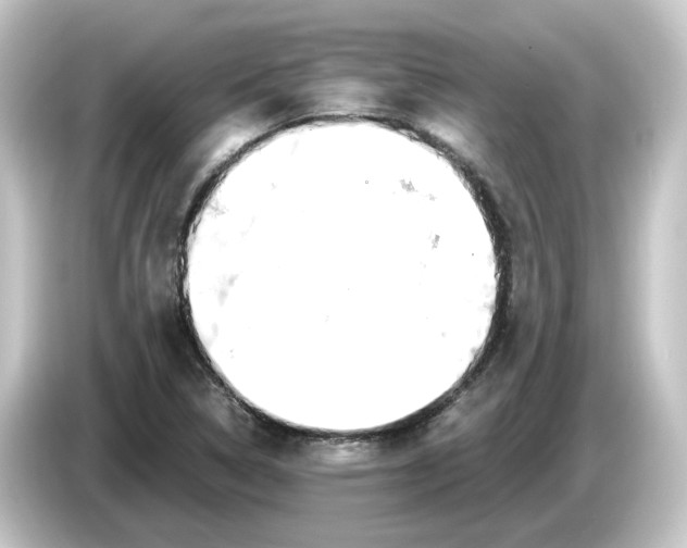 X0000084551314200703161639