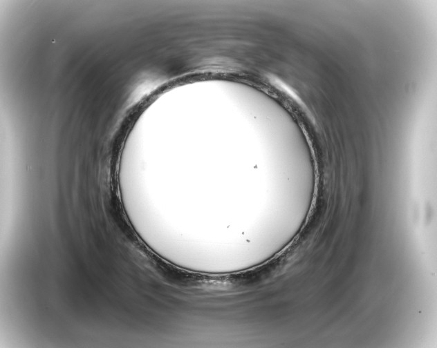 X0000084551315200703161639