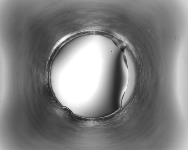 X0000084551316200703161639