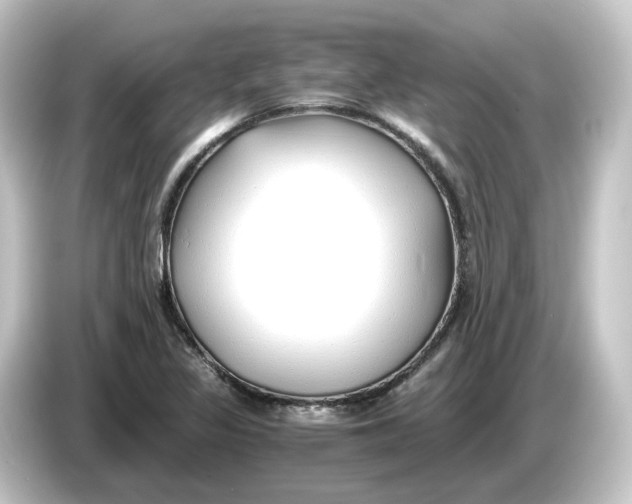 X0000084551317200703161639