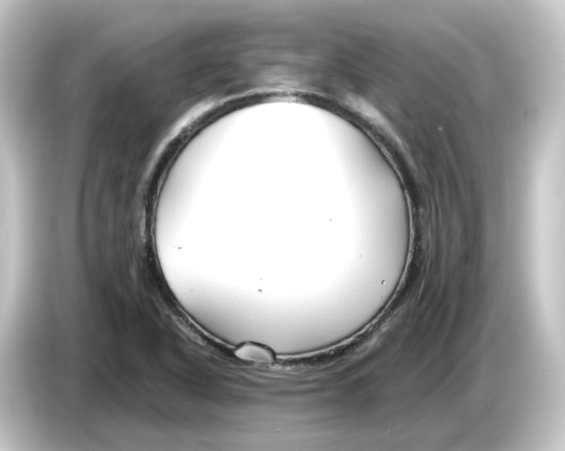 X0000084551318200703161639