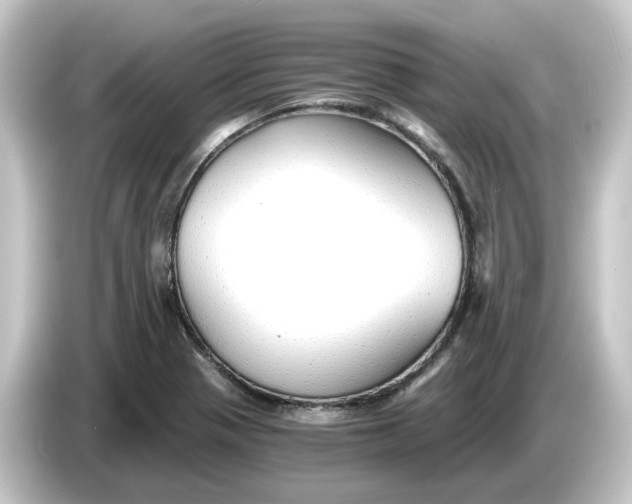 X0000084551321200703161639