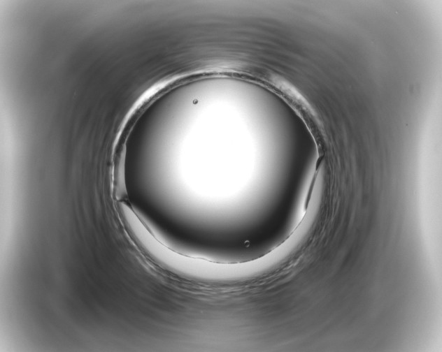 X0000084551324200703161639