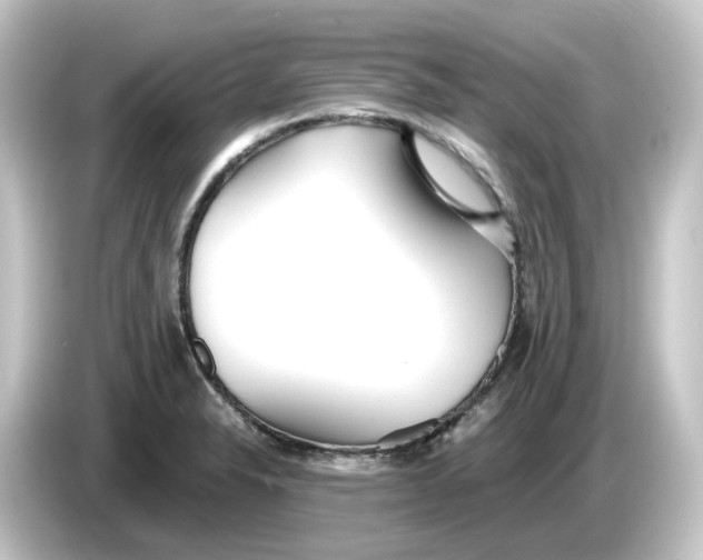 X0000084551326200703161639