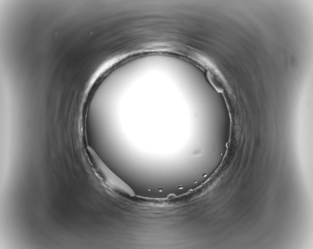 X0000084551328200703161639