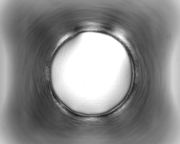 X0000084551329200703161639