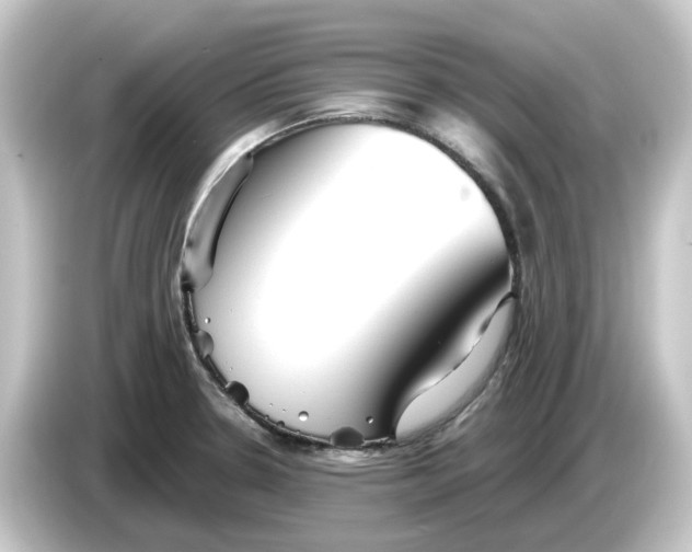 X0000084551330200703161639