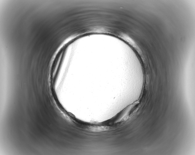 X0000084551331200703161639