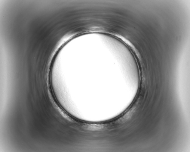 X0000084551333200703161639