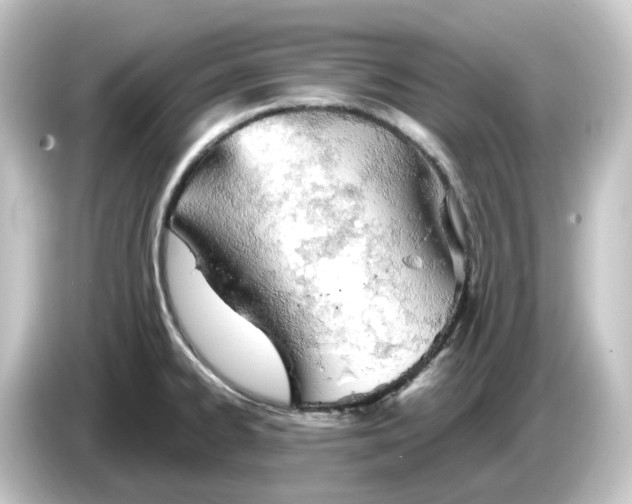 X0000084551334200703161639