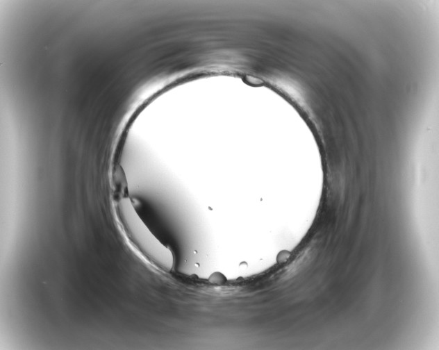 X0000084551335200703161639