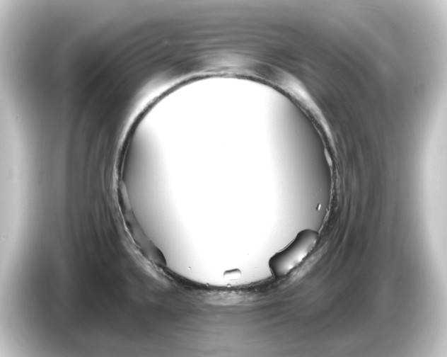 X0000084551336200703161639