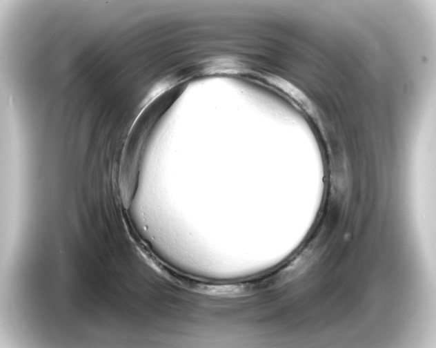 X0000084551337200703161639