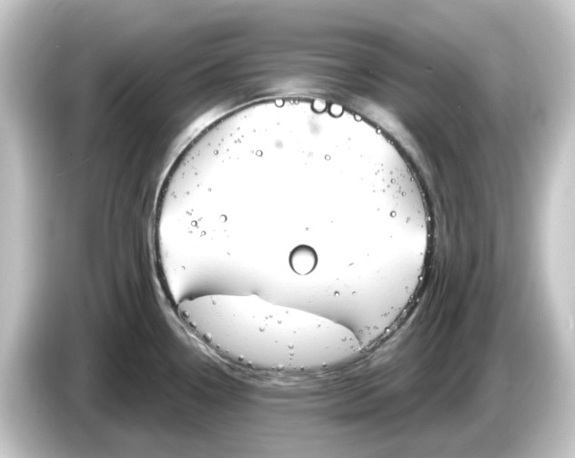 X0000084551338200703161639