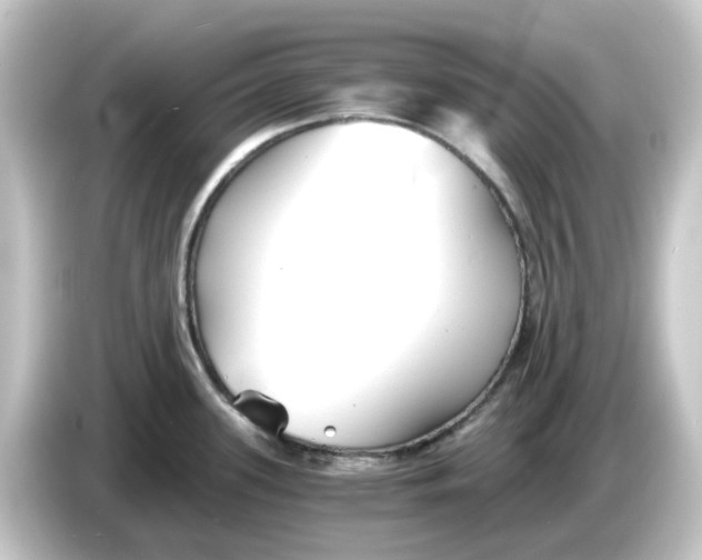 X0000084551339200703161639