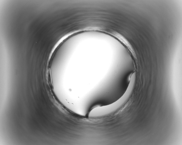 X0000084551340200703161639