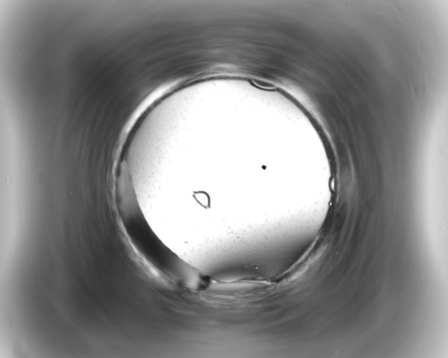 X0000084551341200703161639