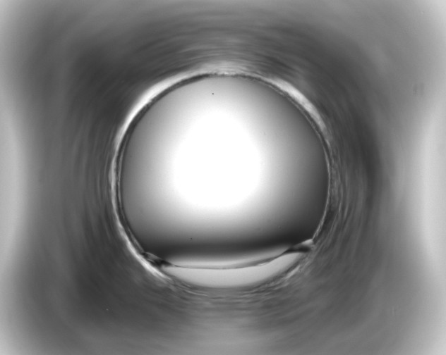 X0000084551343200703161639