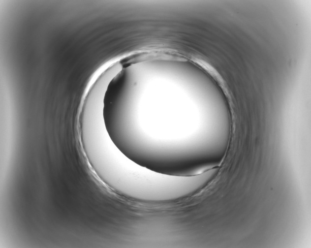 X0000084551344200703161639