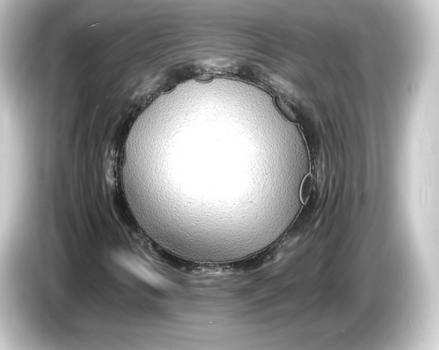 X0000084551346200703161639