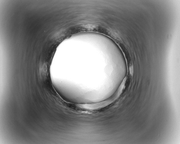 X0000084551347200703161639