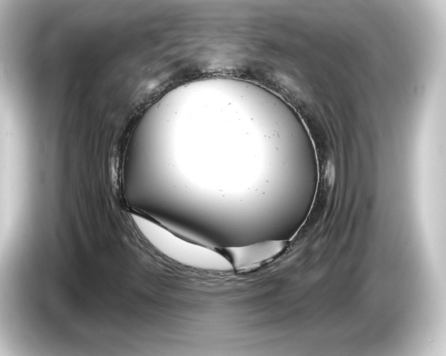 X0000084551348200703161639