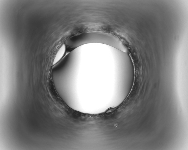 X0000084551349200703161639