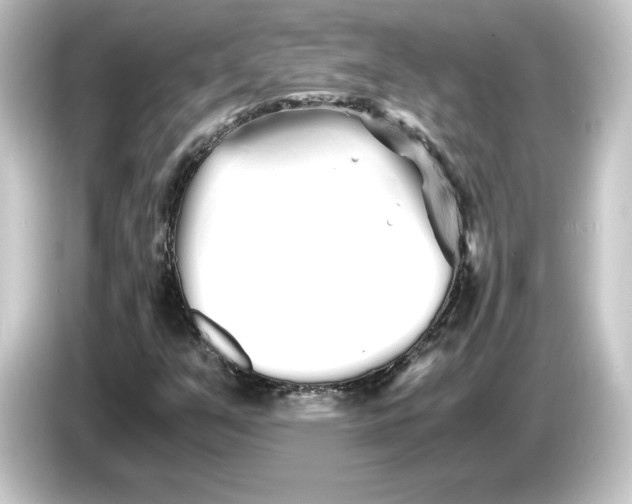 X0000084551351200703161639