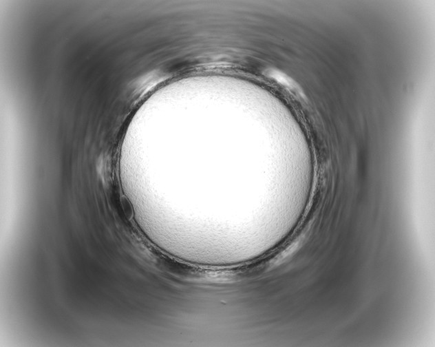 X0000084551353200703161639