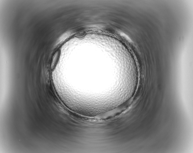 X0000084551354200703161639