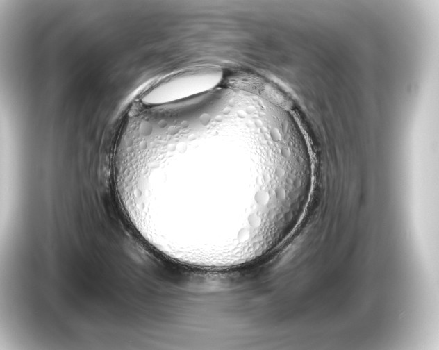 X0000084551355200703161639