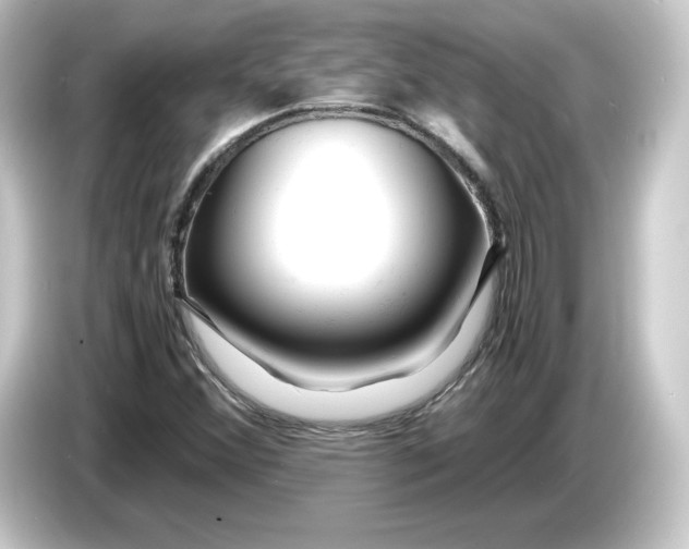 X0000084551356200703161639