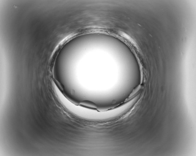 X0000084551357200703161639