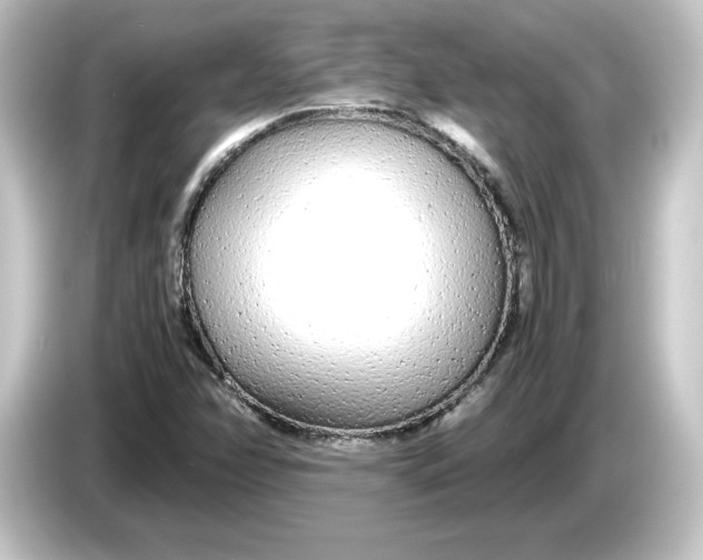 X0000084551358200703161639