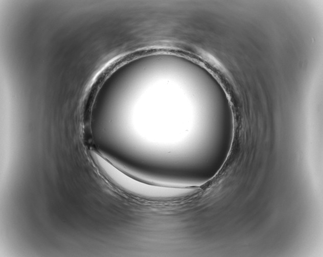 X0000084551360200703161639