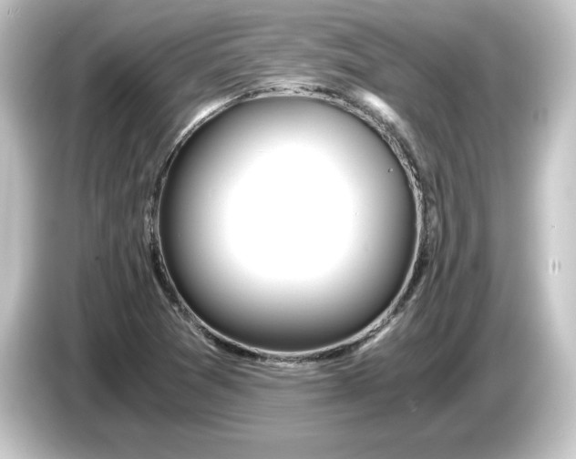 X0000084551361200703161639