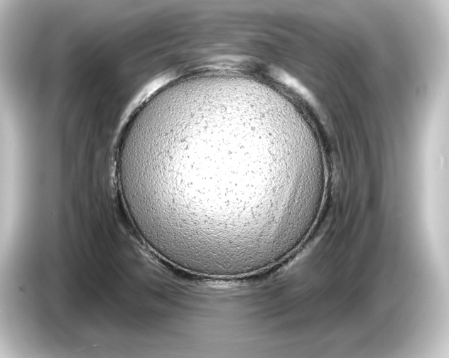 X0000084551362200703161639