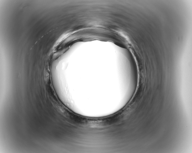 X0000084551363200703161639