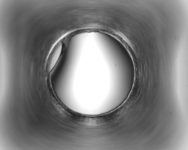 X0000084551364200703161639