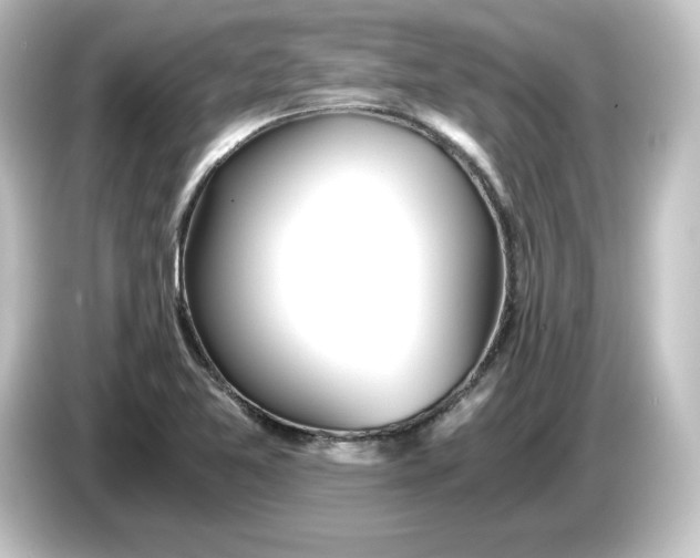 X0000084551365200703161639