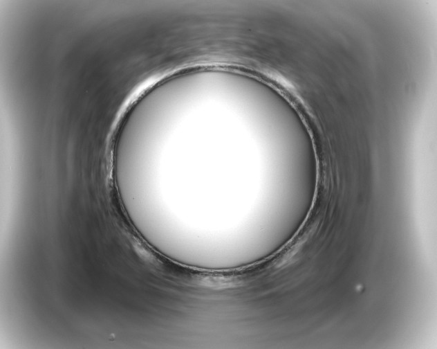 X0000084551366200703161639