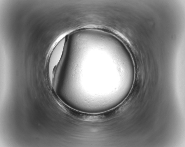 X0000084551367200703161639