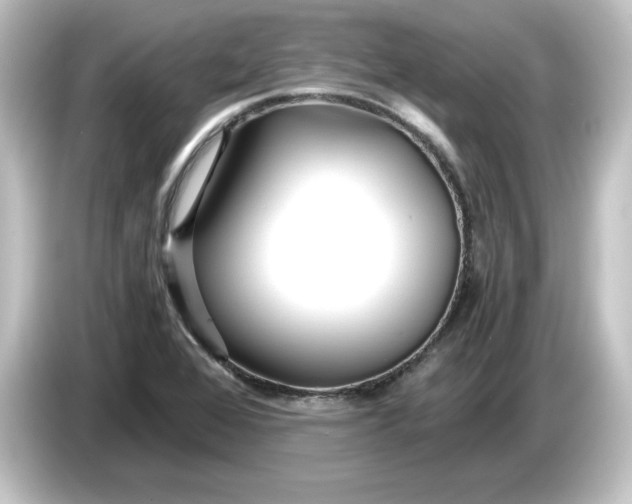 X0000084551368200703161639