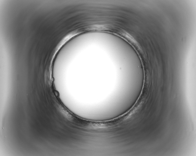 X0000084551370200703161639