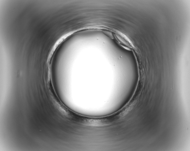 X0000084551371200703161639